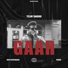 Gaah | TeeJay Sandhu | Rathi Roopnagria | Rishu
