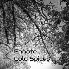 Cold Spices (Spice Girls Flip)
