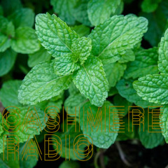 @CashmereRadio - Minty Fresh w/ peppermintphil #10