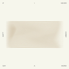 If I Never Say A Word