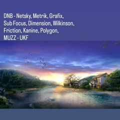 DNB - Netsky, Metrik, Grafix, Sub Focus, Dimension, Wilkinson, Friction, Kanine, Polygon, MUZZ - UKF