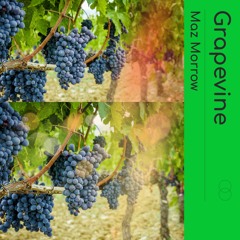 Grapevine