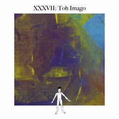 Awareness XXXVII: Toh Imago
