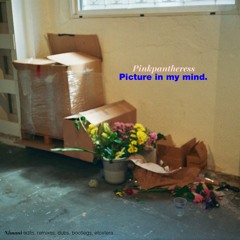 Pinkpantheress - Picture in my mind (Nimanì edit)