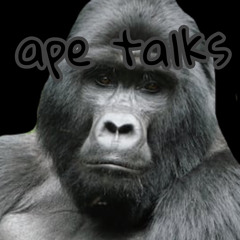 ape talks .m4a