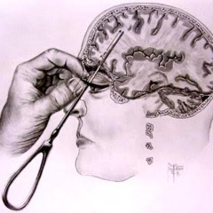 Lobotomy ft ihatetimm