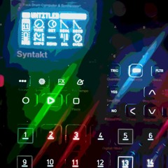 PALA PALAM (Live Play-Syntakt-Hardware Only)