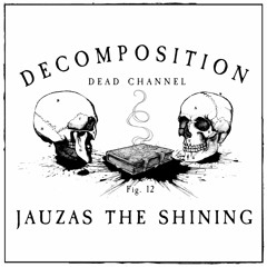 Decomposition - Fig. 12: Jauzas The Shining
