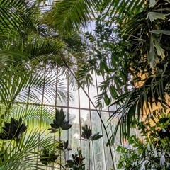 Classic-Contemporary