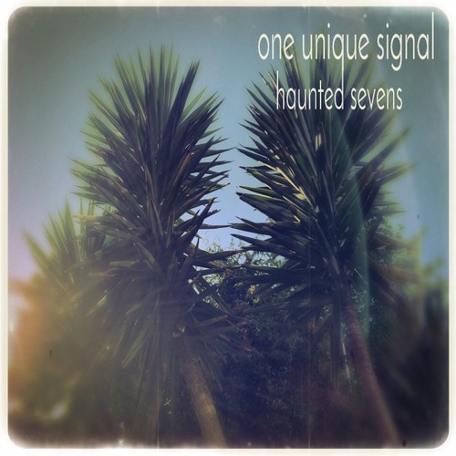 One Unique Signal | Haunted Sevens - RHYO009D