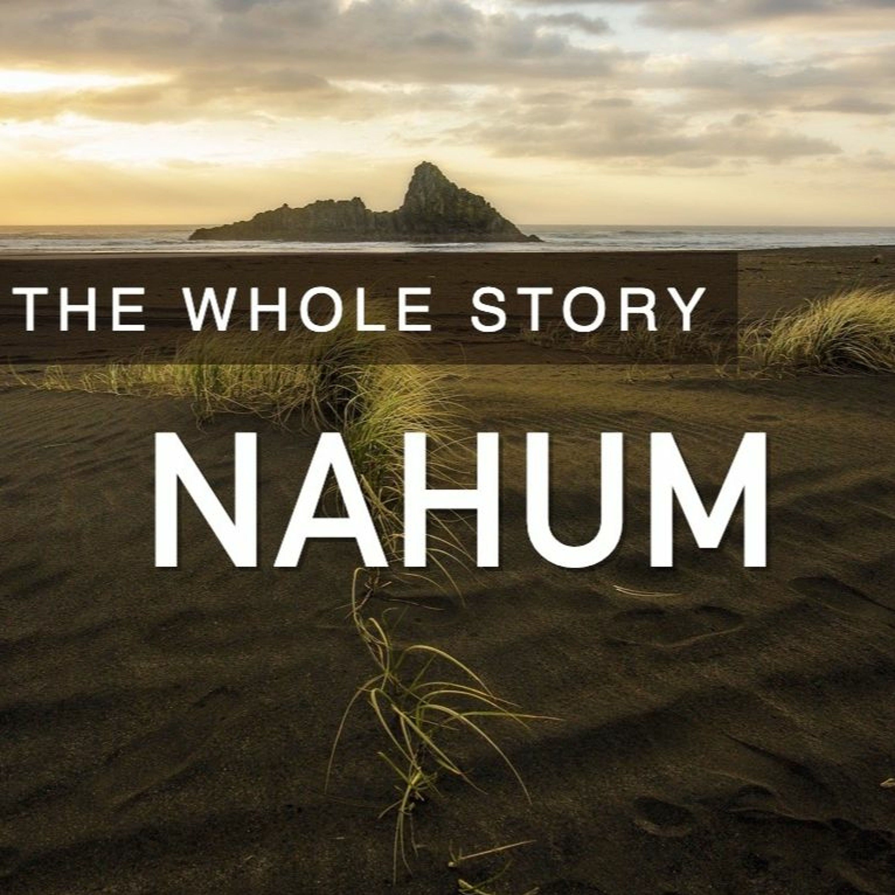 NAHUM: The LORD Is Good! - Pastor Mike Booker (3.14.2021) episode artwork
