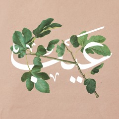 إضراب
