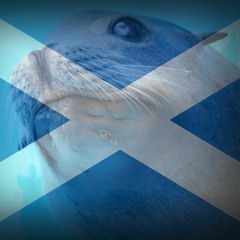 Scotland The Brave (Aquarian Remix/Mashup)