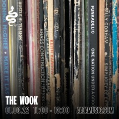 The Wook - Aaja Channel 1 - 01 03 22