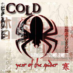 Wasted Years (Album Version)