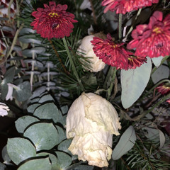 treason (ft. ghosty & mikey)