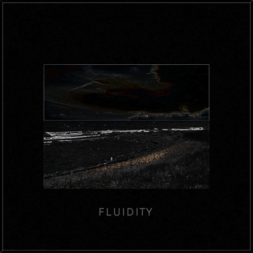 Fluidity