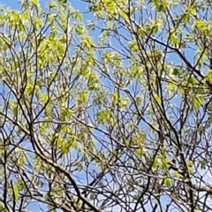 Kindness is the New Cool