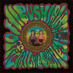 HIBUSHIBIRE 'Snow Sniffing Matador' (Live Glasgow 2024)