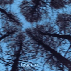 Nastyona- Iguanaz . 11