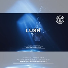 Chill UK Summer x 2 Step x Drum & Bass Type Beat ►Lush◄ Instrumental 2024