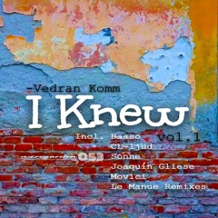 Vedran Komm - I Knew ( Le Manue Interpretation)
