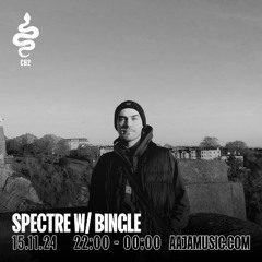 Spectre b2b Bingle Beats - Aaja Radio 15 November 2024