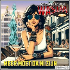 Wasda - Meer Moet Da Ni Zijn # Antwerps #Belgisch