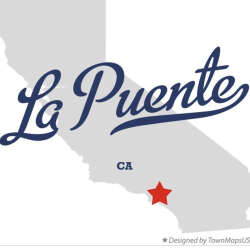 ADRIANTAPPEDIN X USER IN THE FIELD