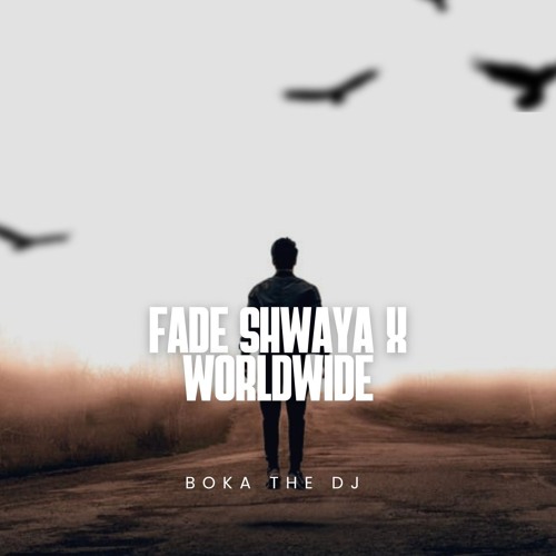 Fadee Shwaya ( Hamza Nimra ) X WorldWide by (Asake)  BokaPiano Blend
