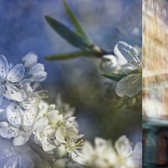 ⓁichtⒷildⒼestalter Collection 2022