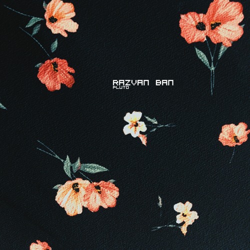 Razvan Ban - Casante