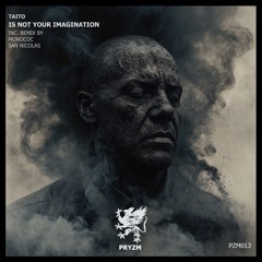 TAITO - Its Not Your Imagination