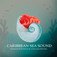 𝙴 𝚂 𝚂 𝙴 𝙽 𝚃 𝙸 𝙰 𝙻 𝚂