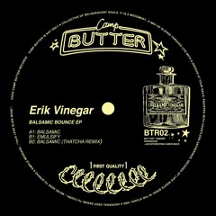 Erik Vinegar - Balsamic (Thatcha Remix)