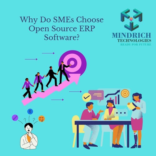 Why Do SMEs Choose Open Source ERP Software? | MindRich Technologies