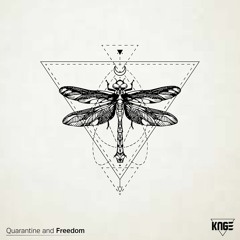 Quarantine and Freedom #01