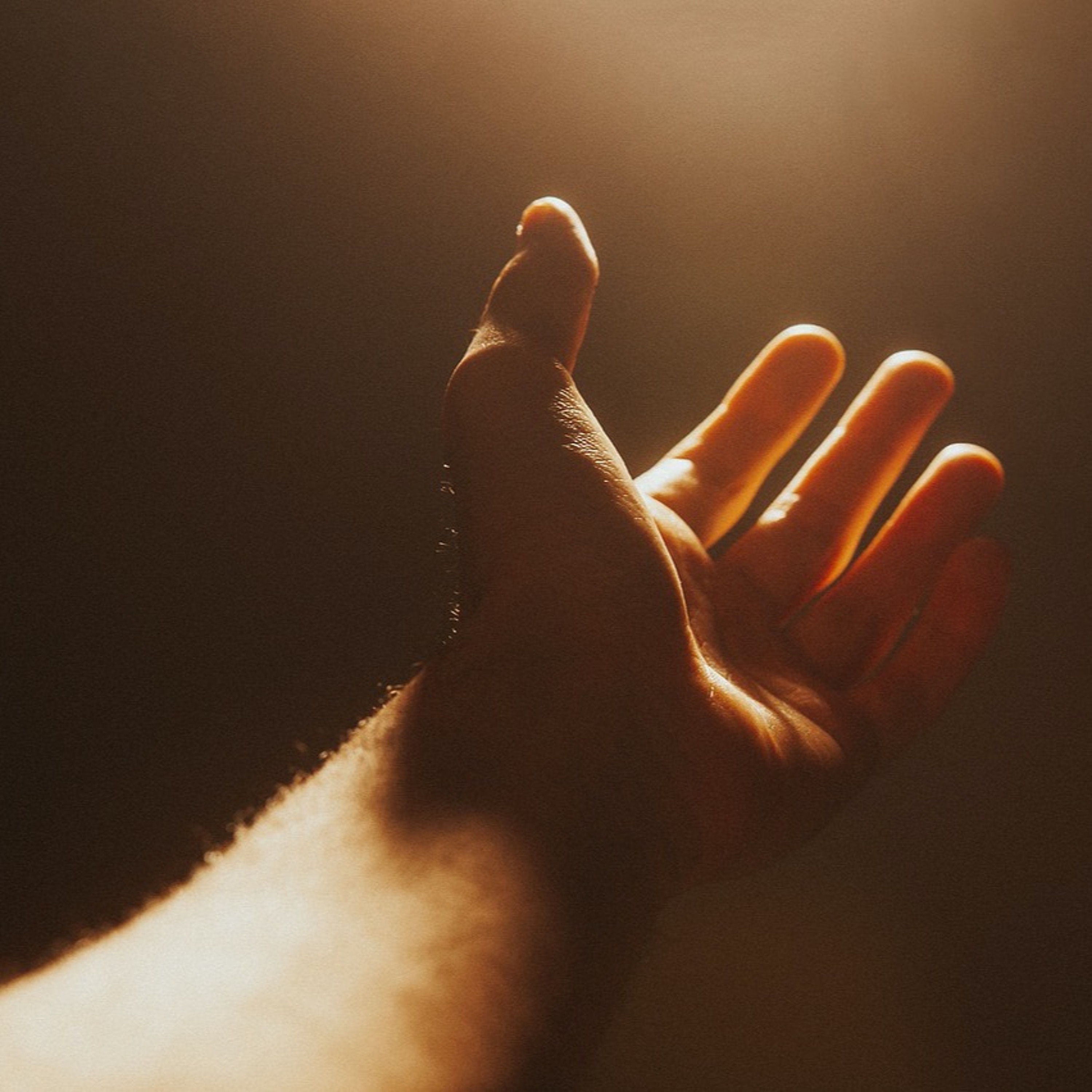 Quattro Stagioni 116 - I gesti degli italiani