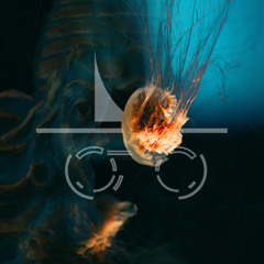 XXI - Incognito_submerge_w. Crisiix