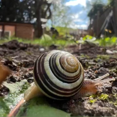 This is a journey into sound!