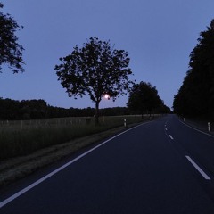 Автостопом по фазе сна - Хочешь я стану проблемой твоей (cover by krisalys) slow, reverb