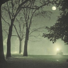 Shadow of the Moon