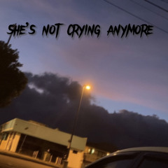 She’s Not Crying Anymore (Kineto x Luzah)