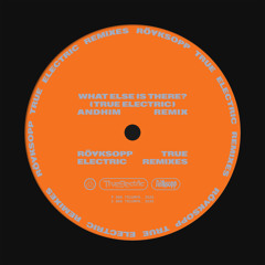 What Else Is There? (andhim Extended Remix)
