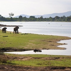 2.06 ගං ඉවුරේ වැව් තාලේ - ஆற்றங்கரையில் ஏரியில் - On the riverbank - in the tank