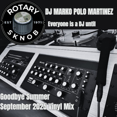Goodbye Summer 2025 Vinyl Mix