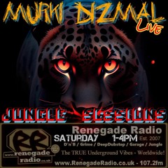 Jungle_Sessions_LIVE_RenegadeRadioUK_107.2fm_06.04.24