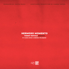 Hermoso Momento (Remix) [feat. Débora Velazquez & FLEIVA MUSIC]
