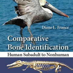[PDF READ ONLINE] Comparative Bone Identification: Human Subadult to Nonhuman