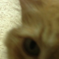 2021 GOOD TIME DEMO AKA HELL OF A LIFE RIP OFF.